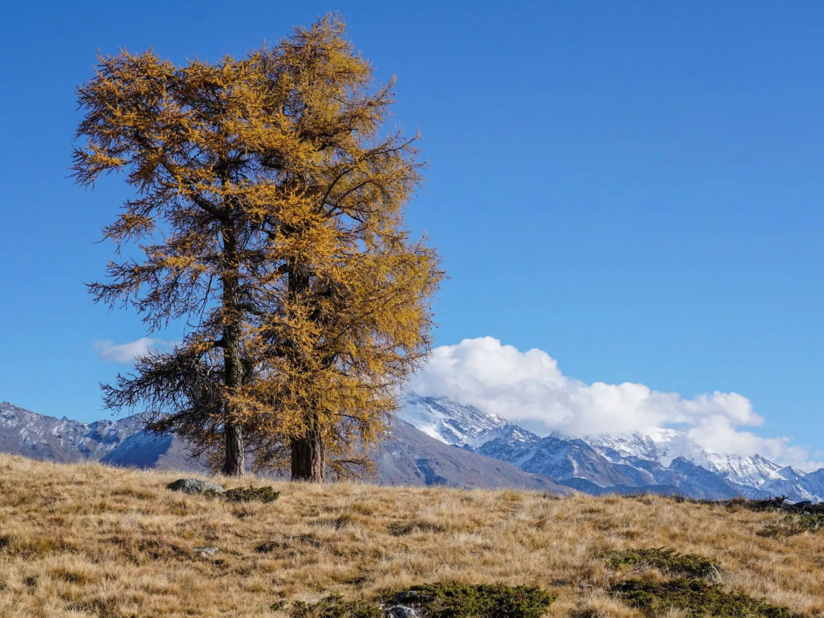 Chalet 1679 - Image-tags.info