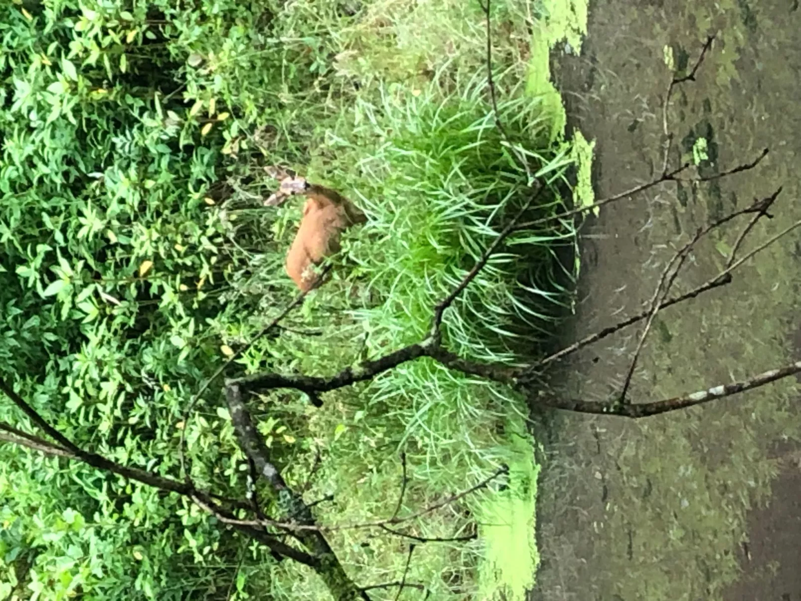 Urbane Remise - Image-tags.info