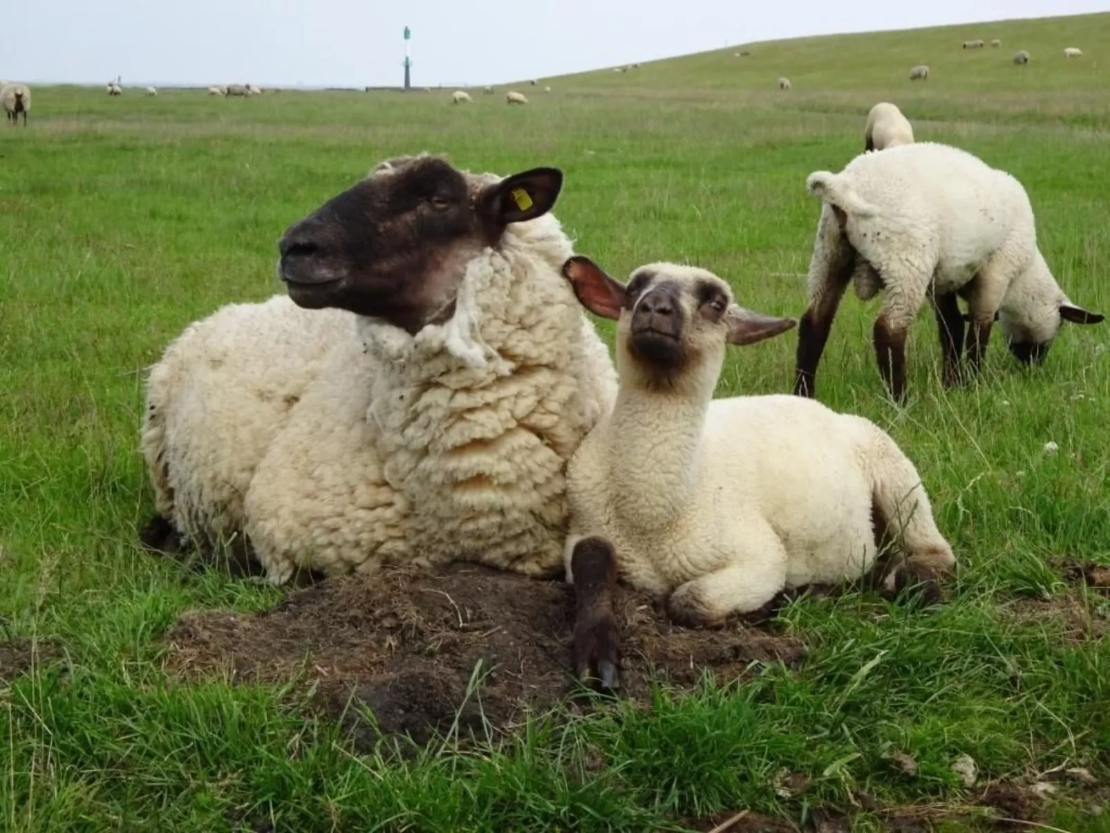 Wellnesshaus Seeperle - All Inklusive - Image-tags.info