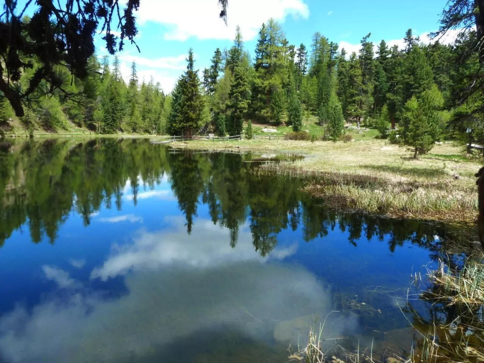 Derby 11 - Image-tags.info