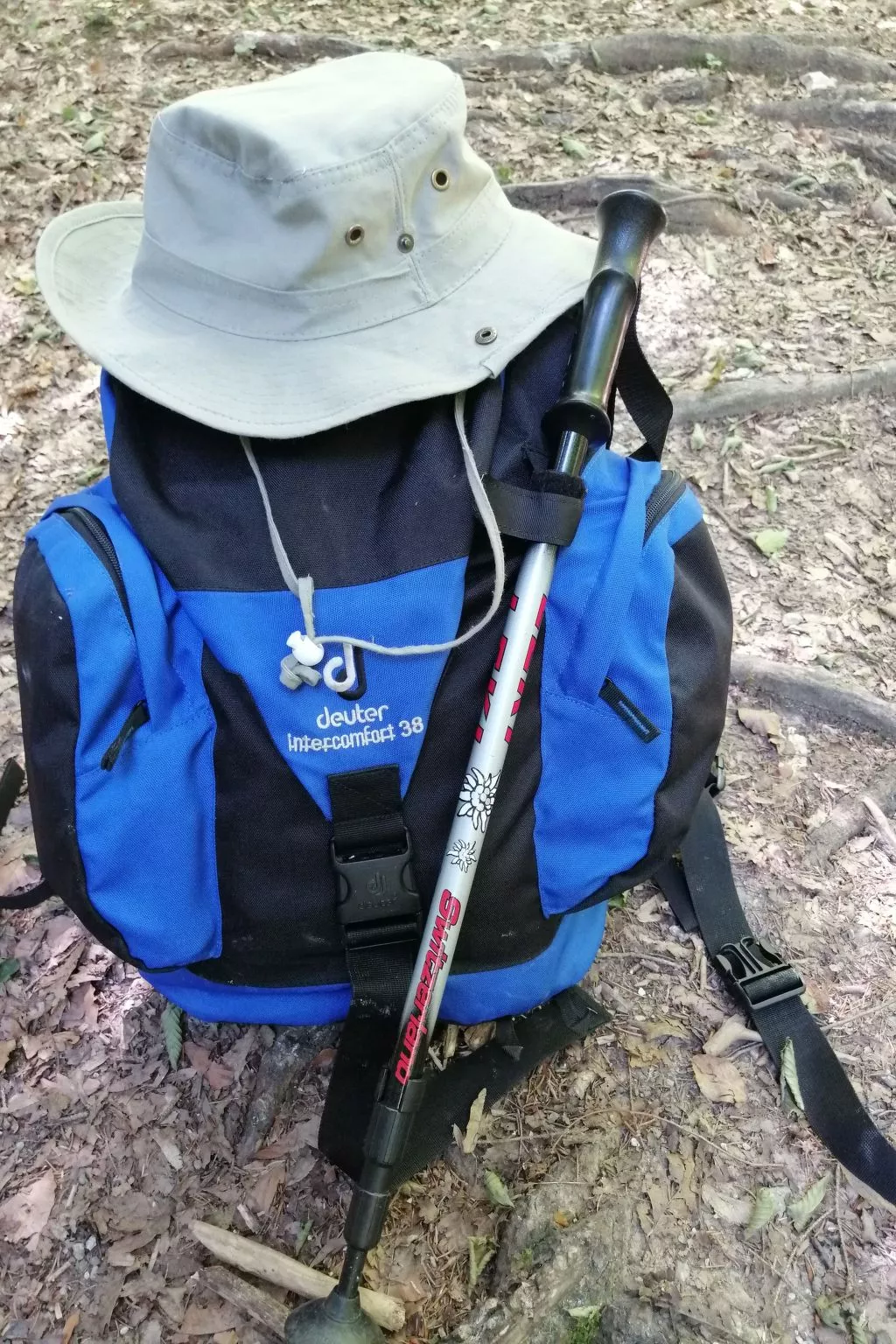 Mit eigenem Garten und Terrasse - Image-tags.info