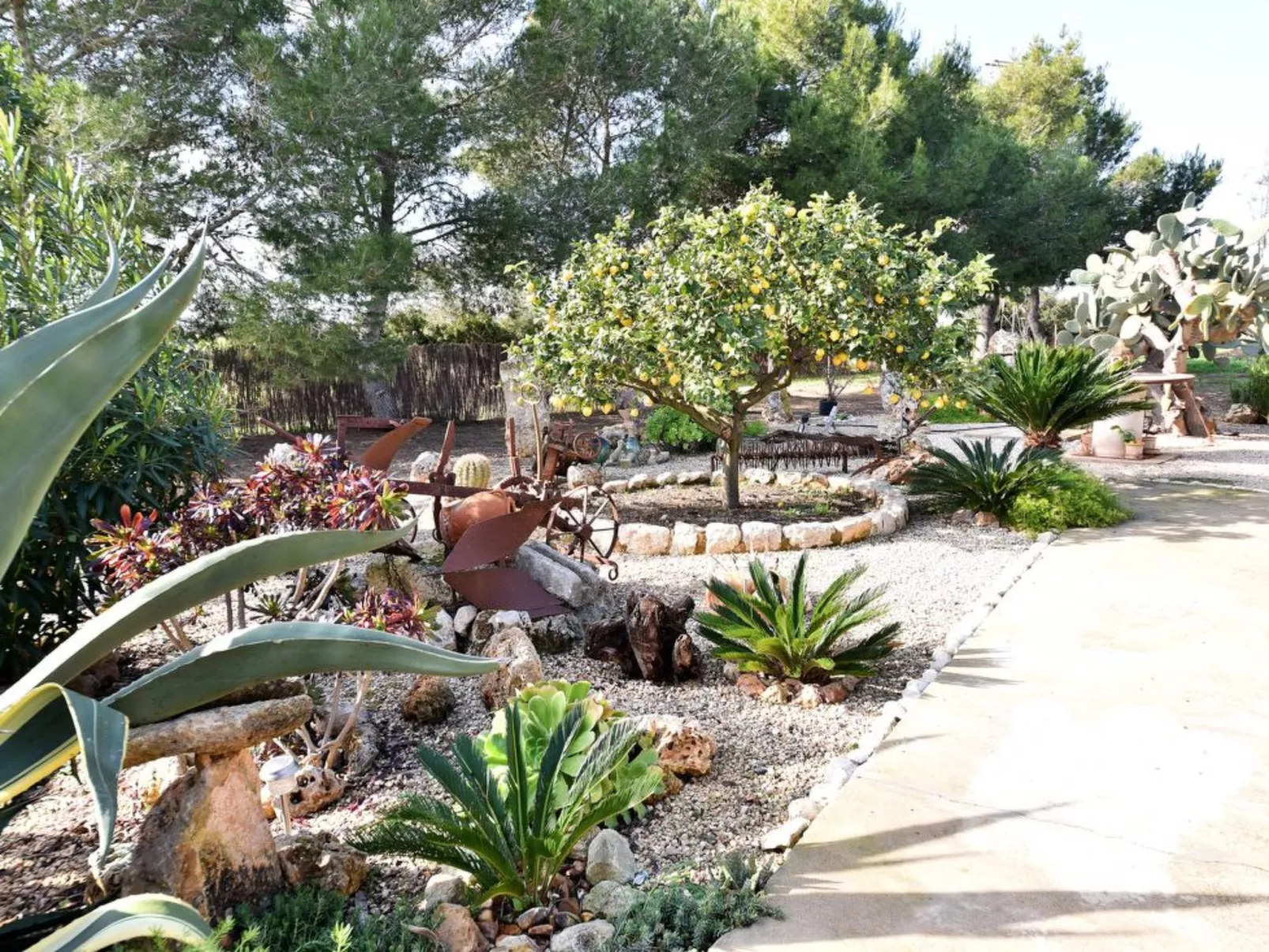 Hort de sa Barrala - Buiten