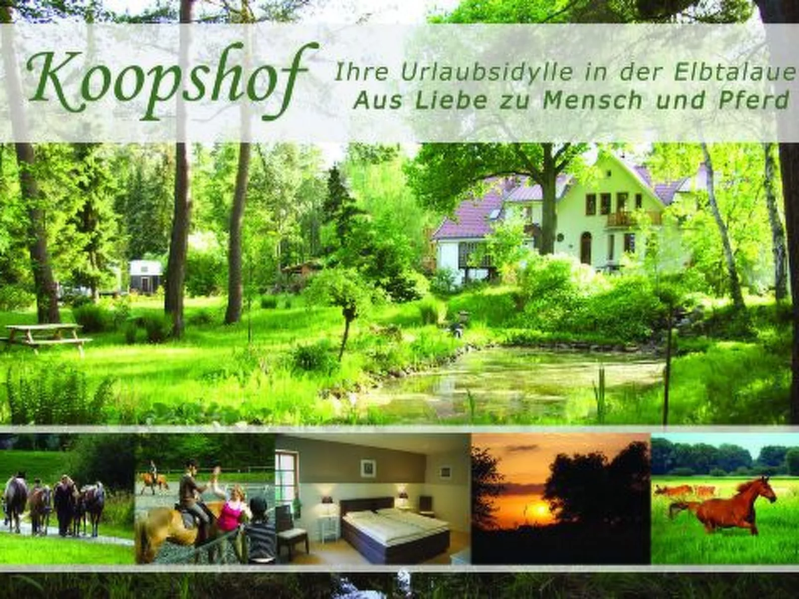 Große Ferienwohnung in Bleckede mit Großem Balkon - Image-tags.info