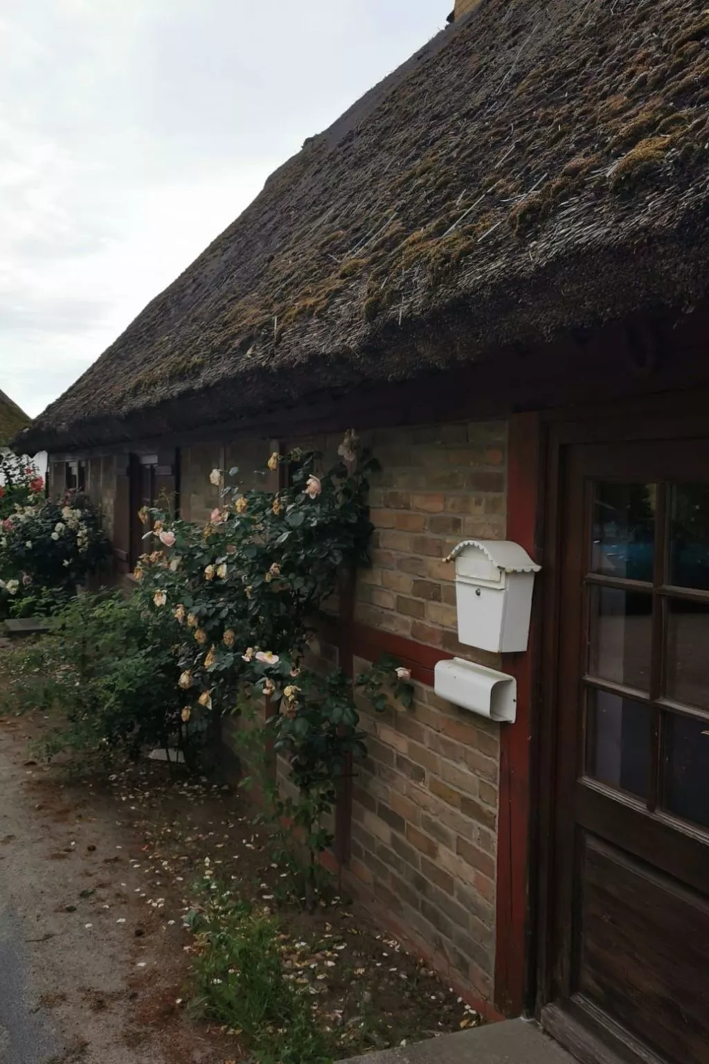 Traumhafte Ferienwohnung im Reetferienhaus - Image-tags.info