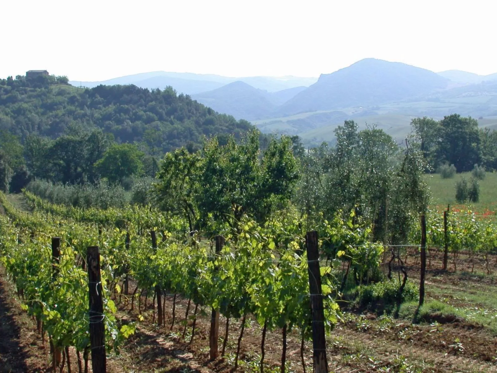 La Stalla - Image-tags.info