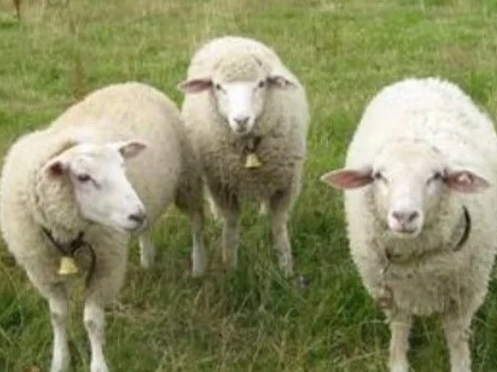 FH Panoramablick - Image-tags.info