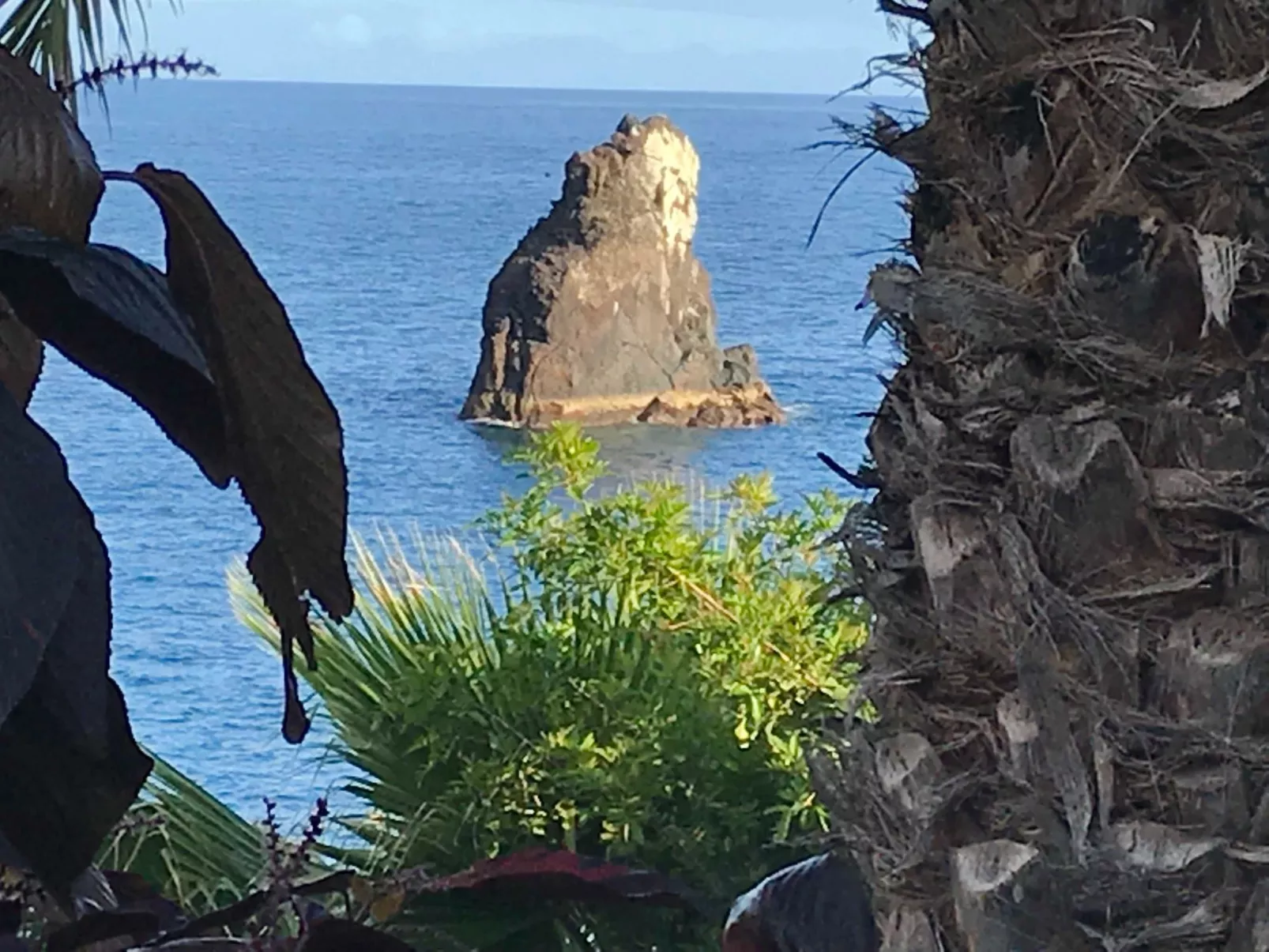 Mit Blick auf das Wasser - Image-tags.info