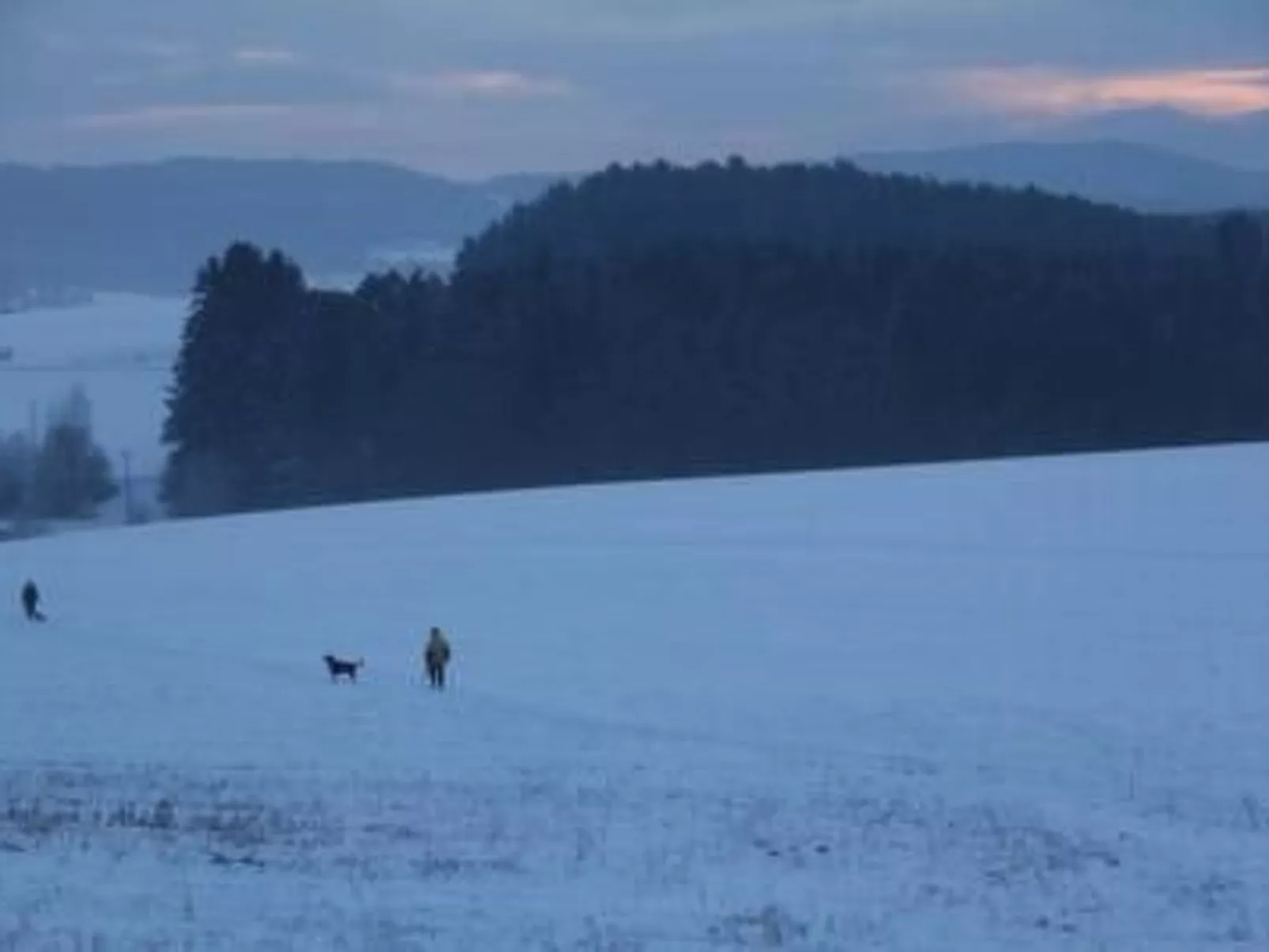 Adele - Allergiker geeignet - Image-tags.info