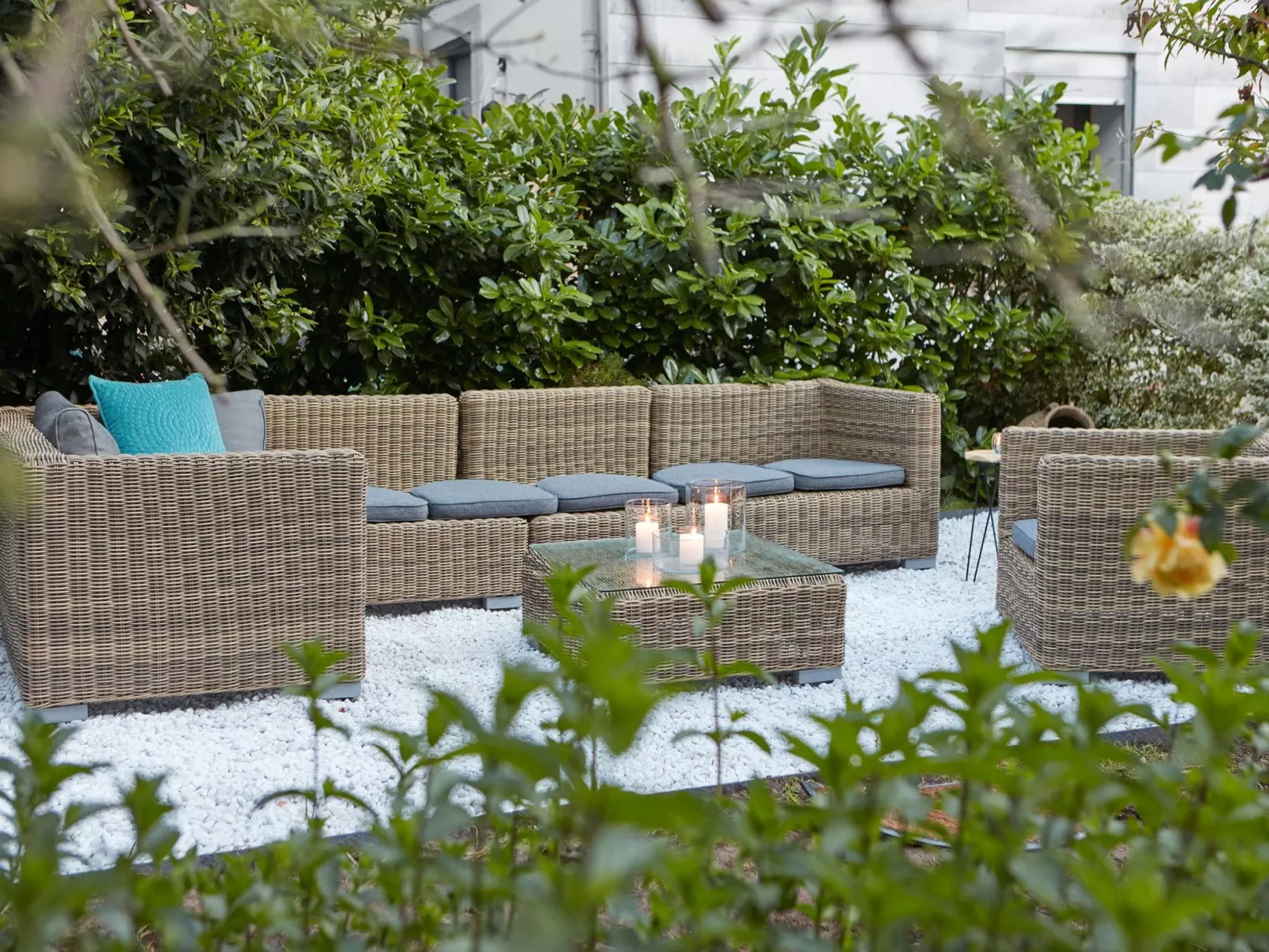 Olive Tree - Image-tags.info