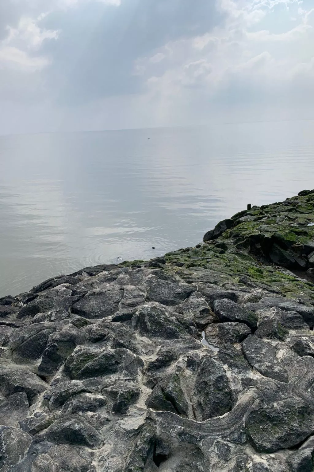 Neuhaus Deichperle - Image-tags.info