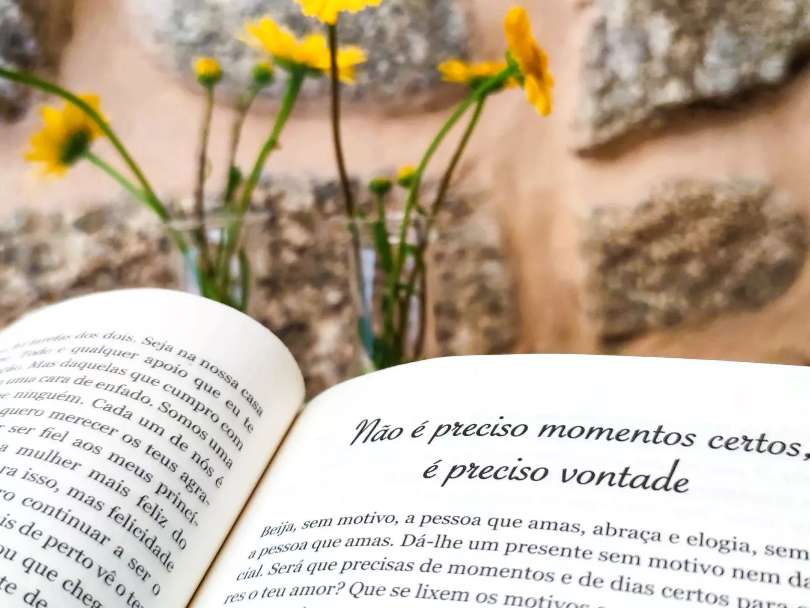 Flusshaus - Casas do Rio Tora - Image-tags.info