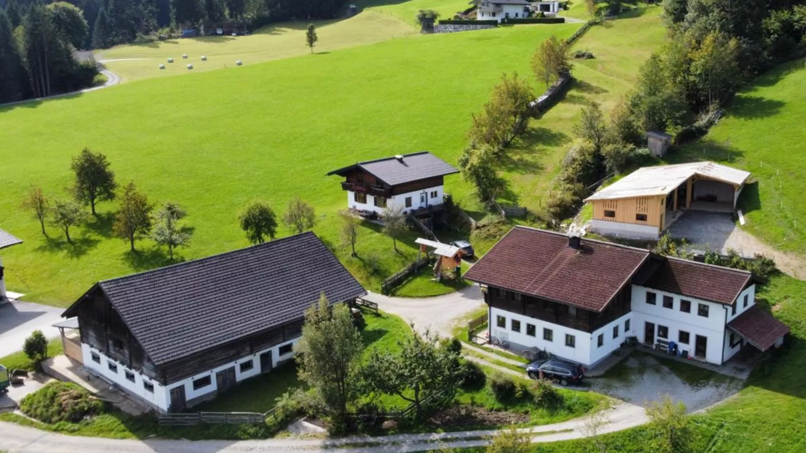 Pehambauer S - Buitenkant zomer