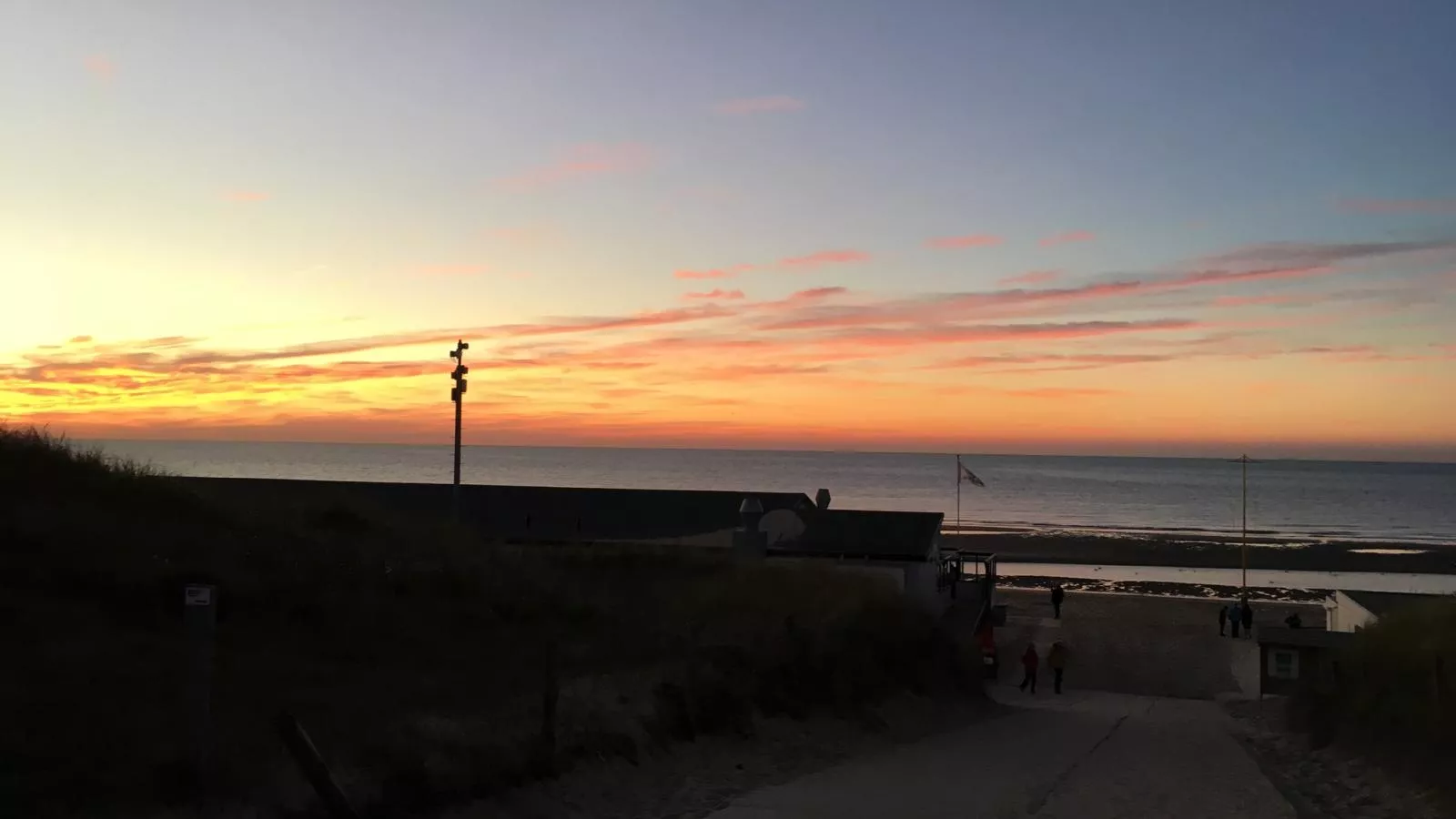 De Zomerbij - Gebieden zomer 1km