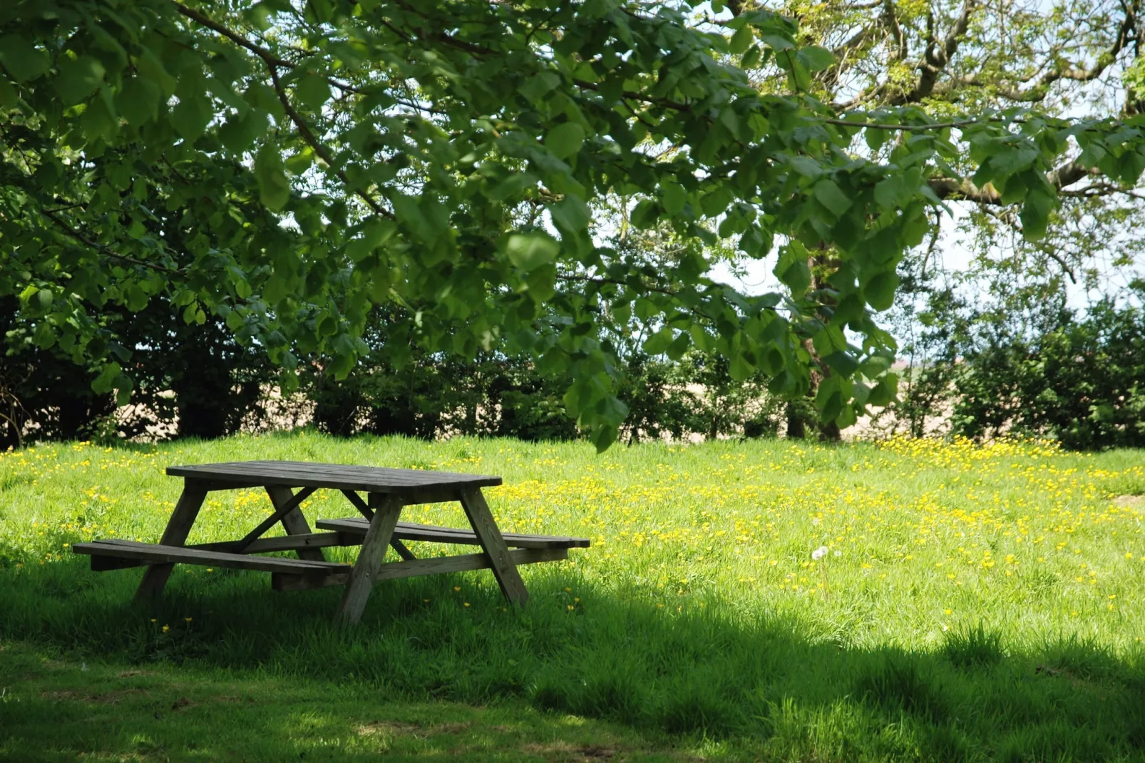 De Zoete inval - Terrasbalkon