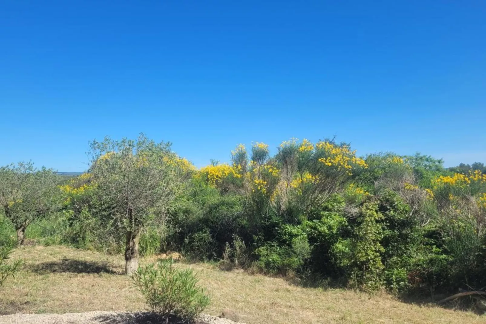 VILLA - FELINES MINERVOIS - Gebieden zomer 5km