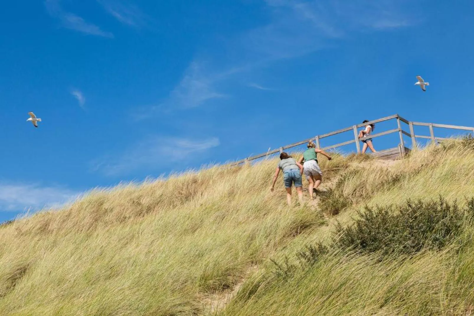 Slaapstrandhuisje - Strand dishoek 68  Dishoek-Gebieden zomer 20km