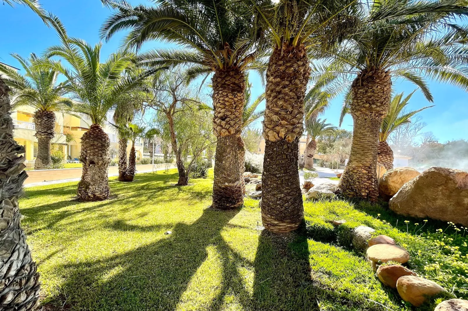 Moguima 2d-Gebieden zomer 1km