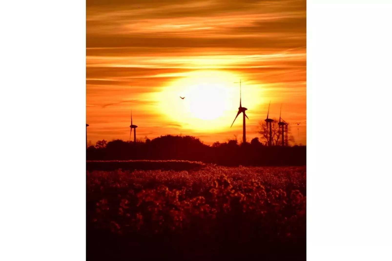 352708-Gebieden zomer 5km