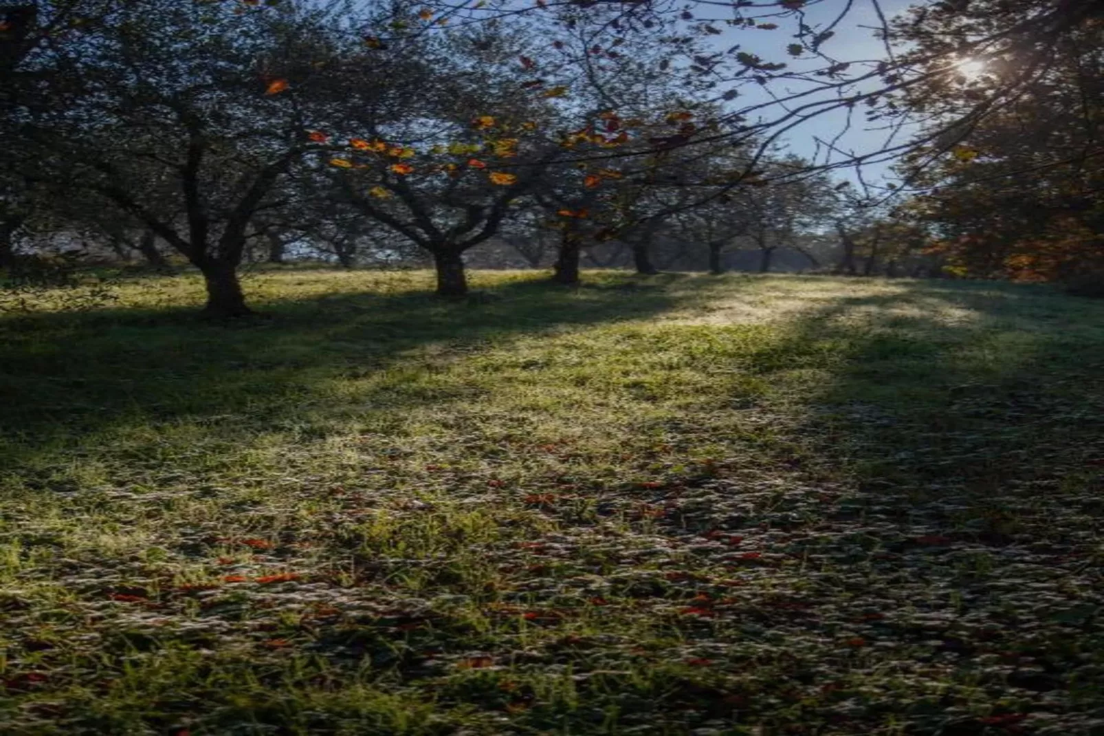 Aria di Lucca-Gebieden zomer 20km