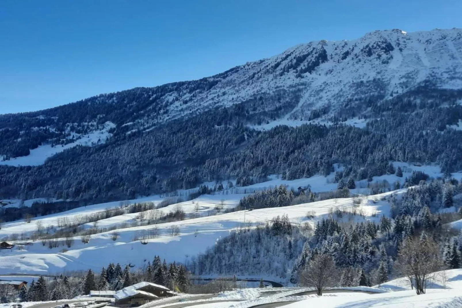 Les Cochettes N°166 - 4P8-Gebied winter 20km