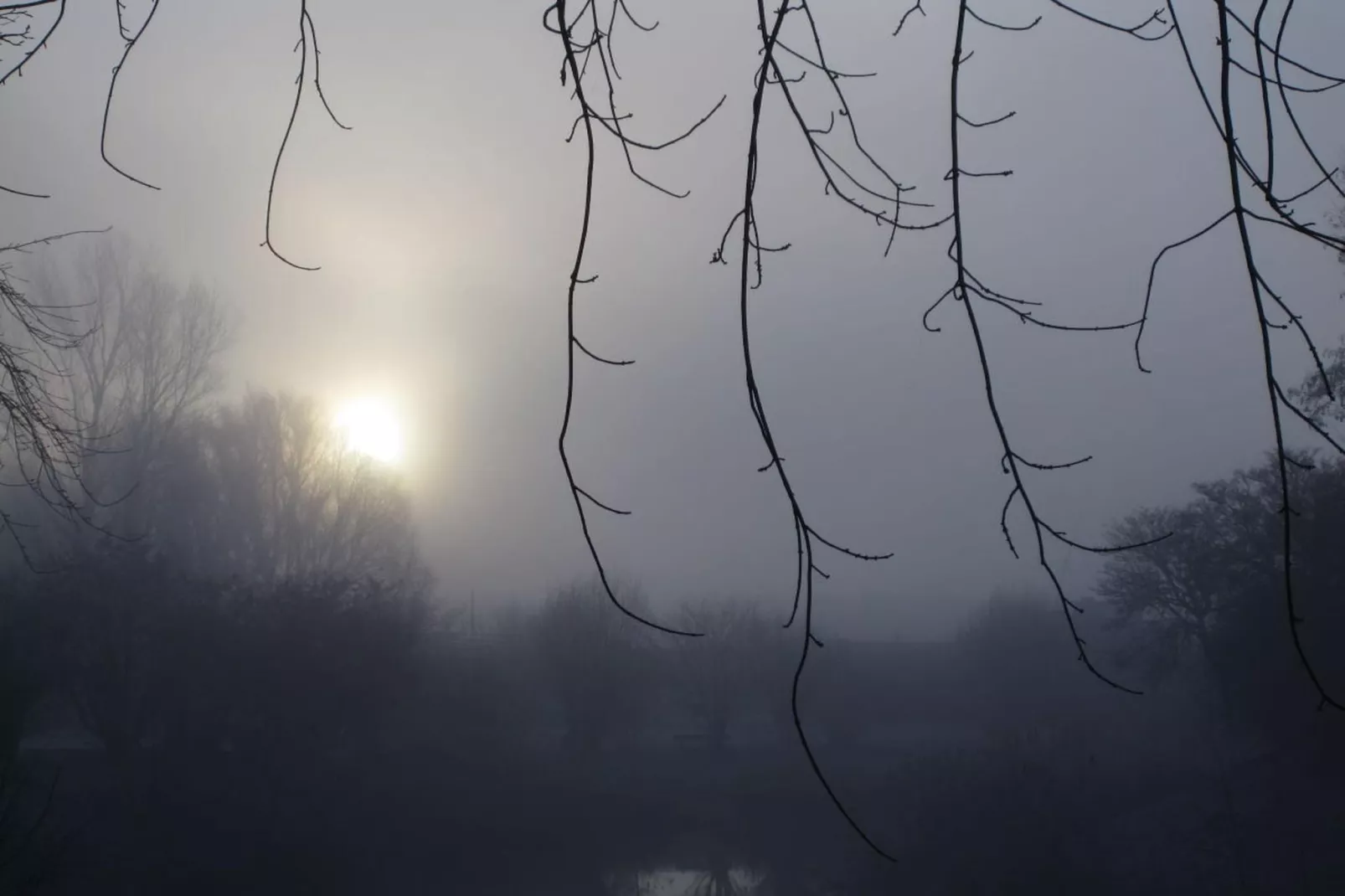 90280 - Gebieden zomer 5km