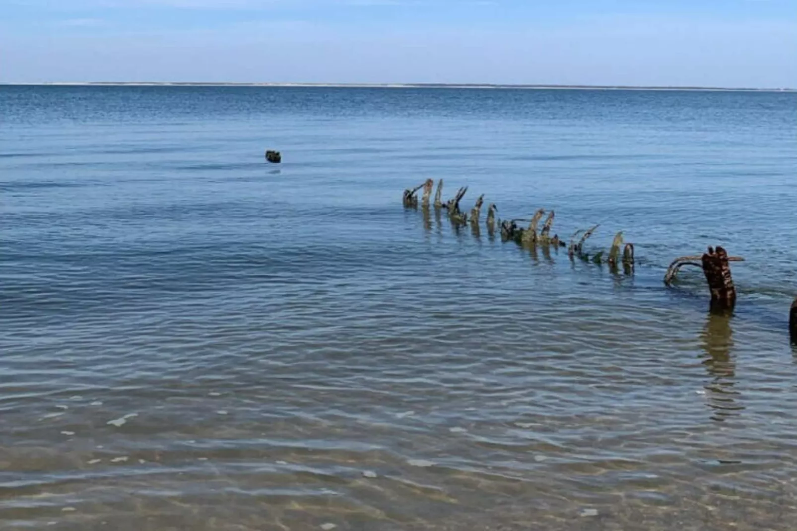 382416-Gebieden zomer 1km