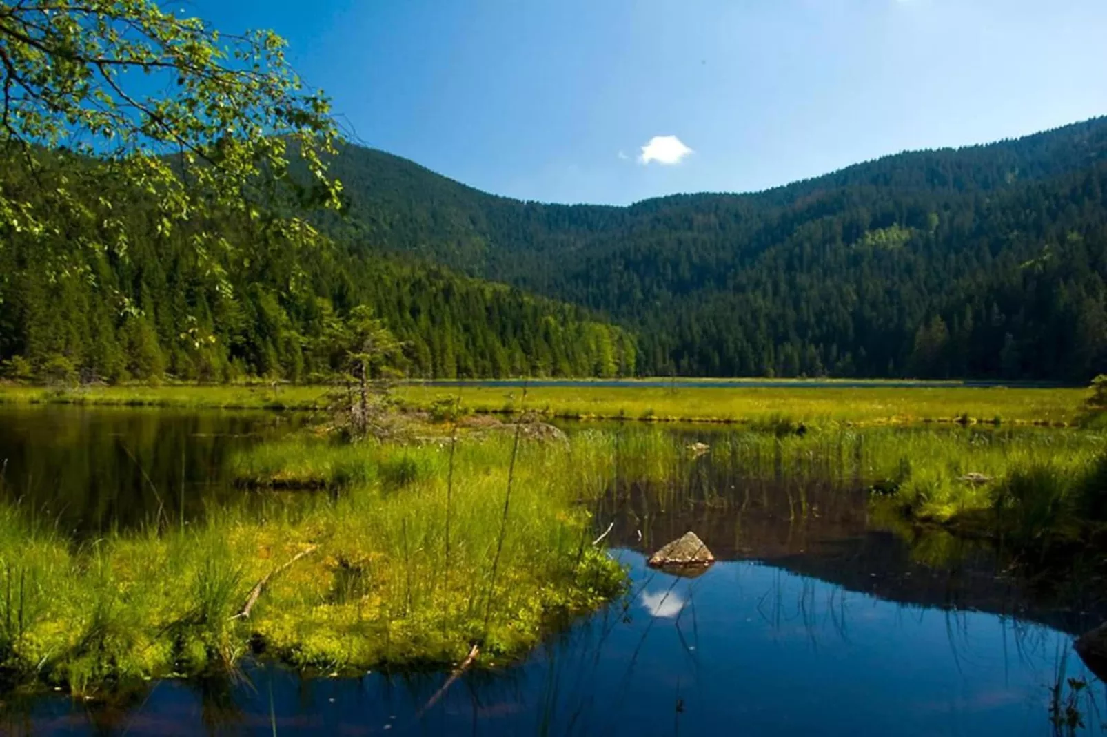 Ferienwohnung in Arrach bei Großer Arber-Gebieden zomer 20km