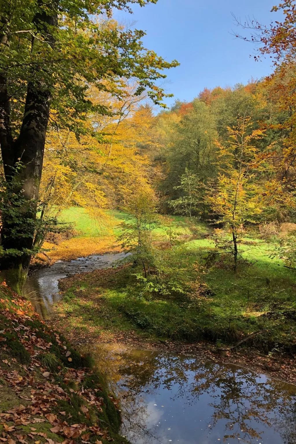 Gartenblick - Image-tags.info