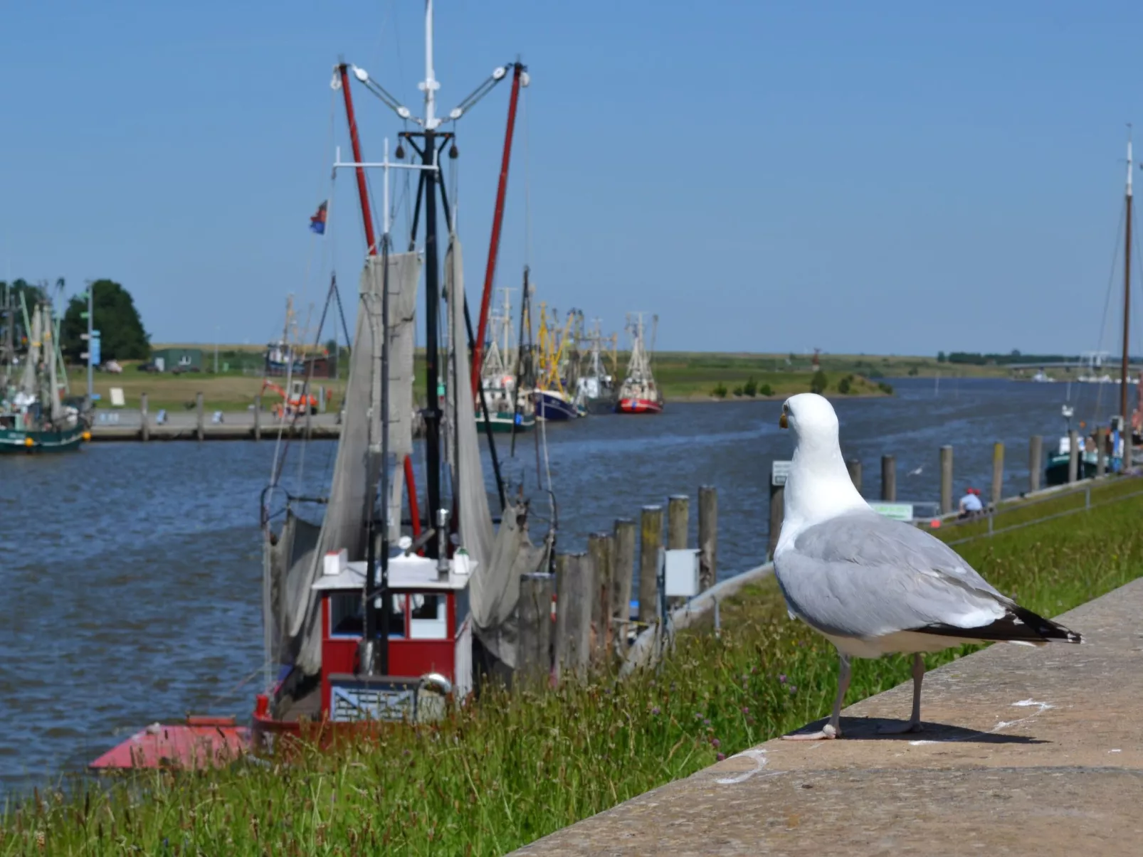 Landgut mit Dachterrasse - Buiten