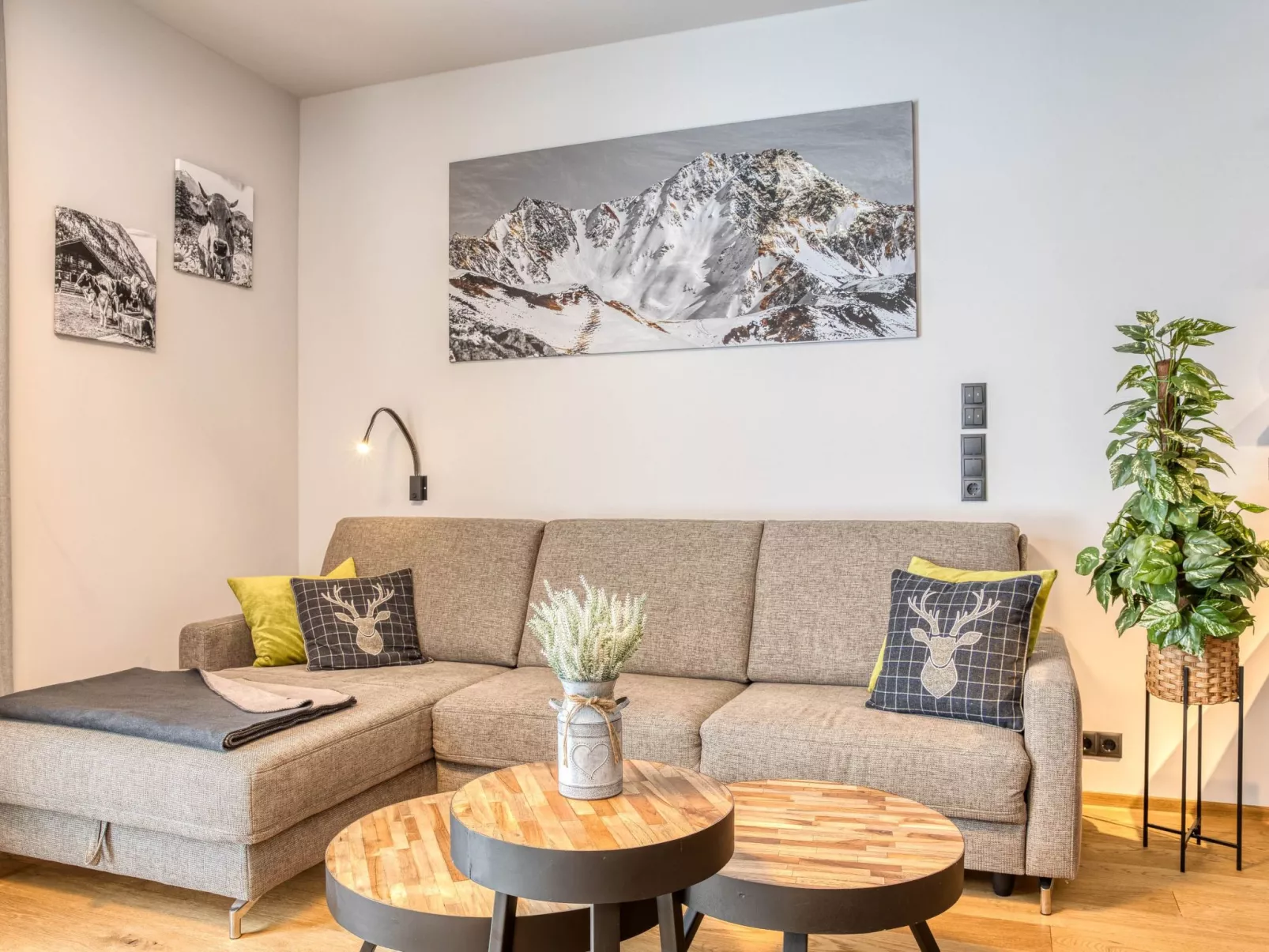 Exklusiv und elegantes Apartment in der Residenz - Image-tags.info