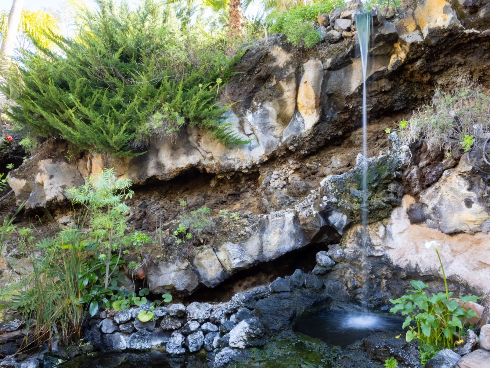 El Refugio - Image-tags.info