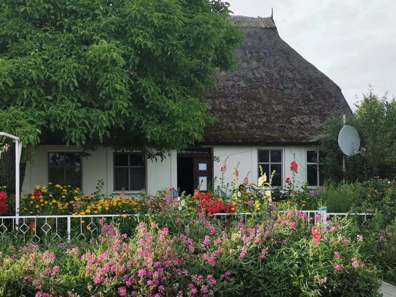 Traumhafte Ferienwohnung im Reetferienhaus - Image-tags.info