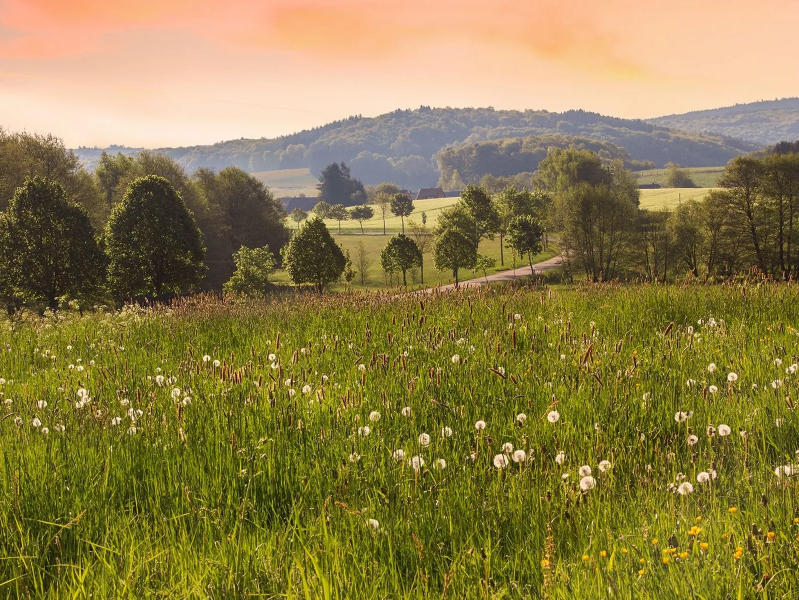 Gemütliche Ferienwohnung in Alt-Saarbrücken mit Terrasse - Image-tags.info