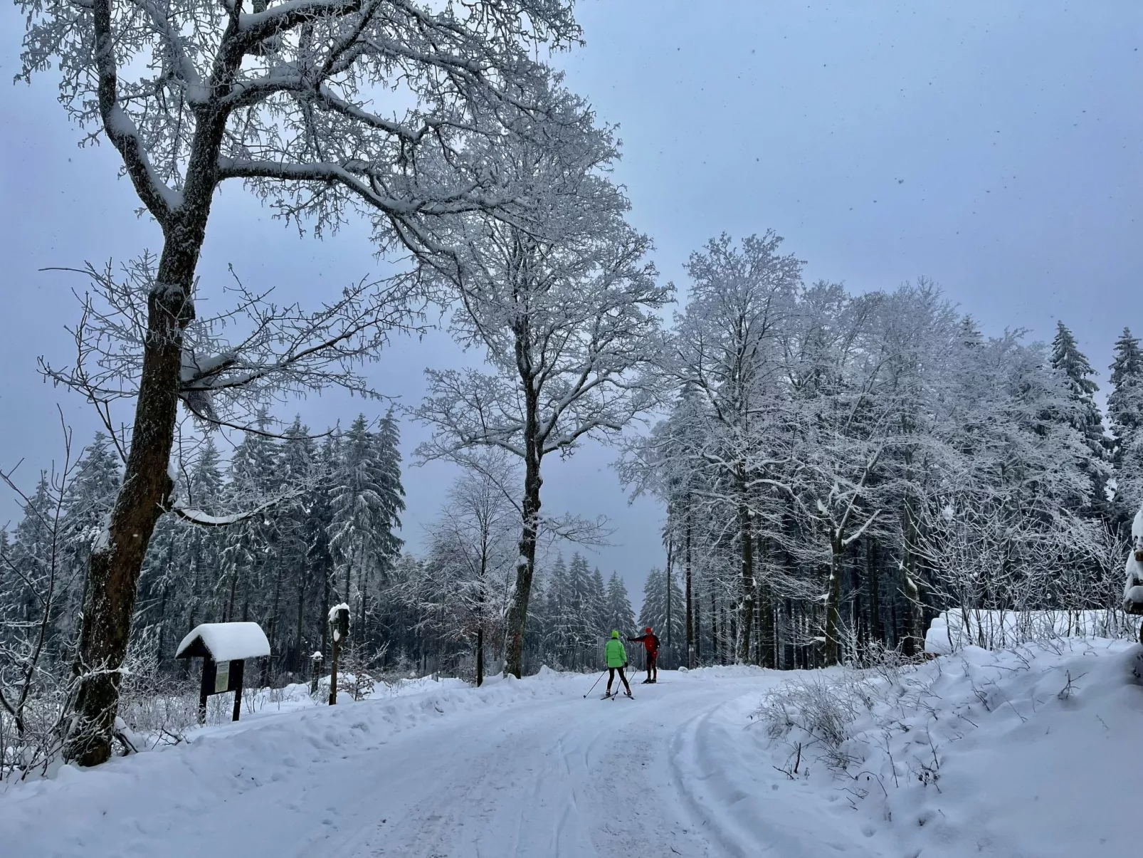 Haus Schneekopf - Omgeving