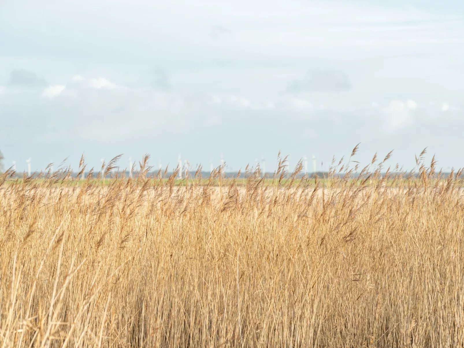 Dein zweites Zuhause an der Nordseeküste - Sauna - Image-tags.info