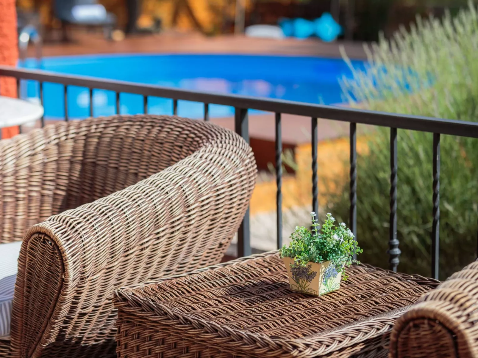 Providenca - Image-tags.info