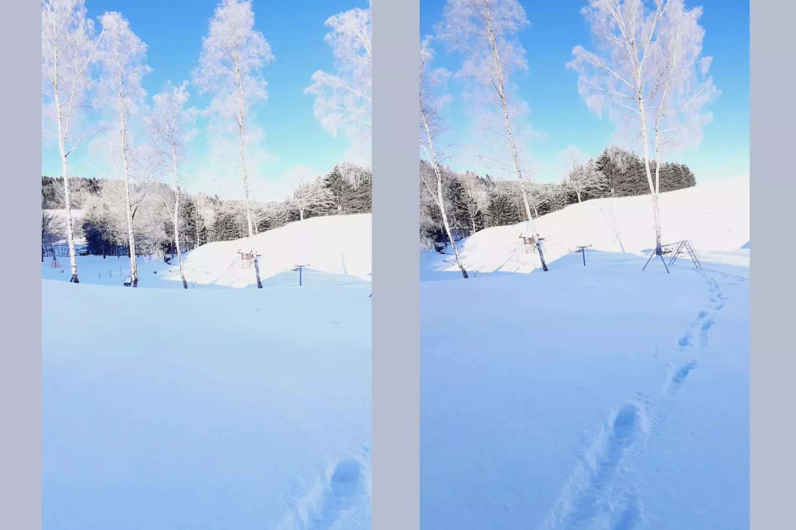 Murmeltier-Tuin winter