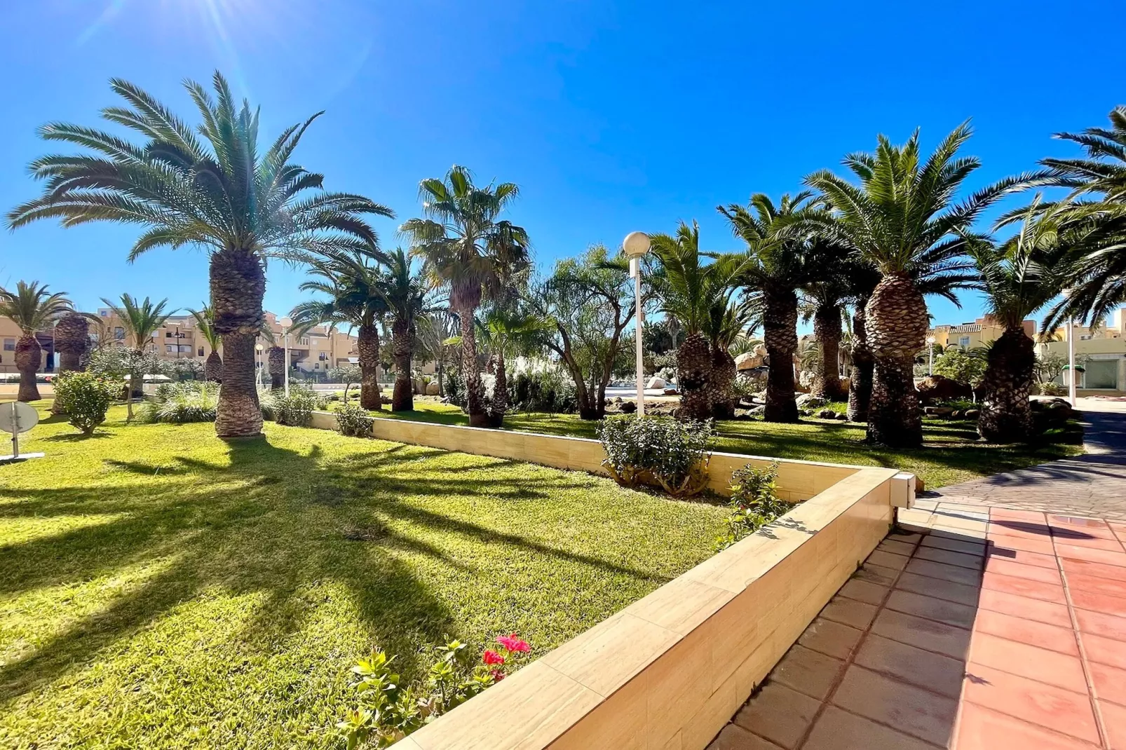 Moguima 2d-Gebieden zomer 1km