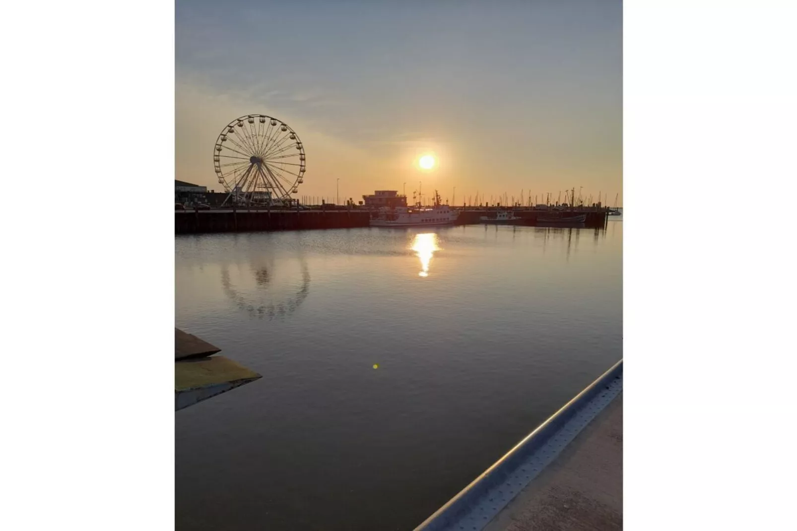 55576-Gebieden zomer 1km