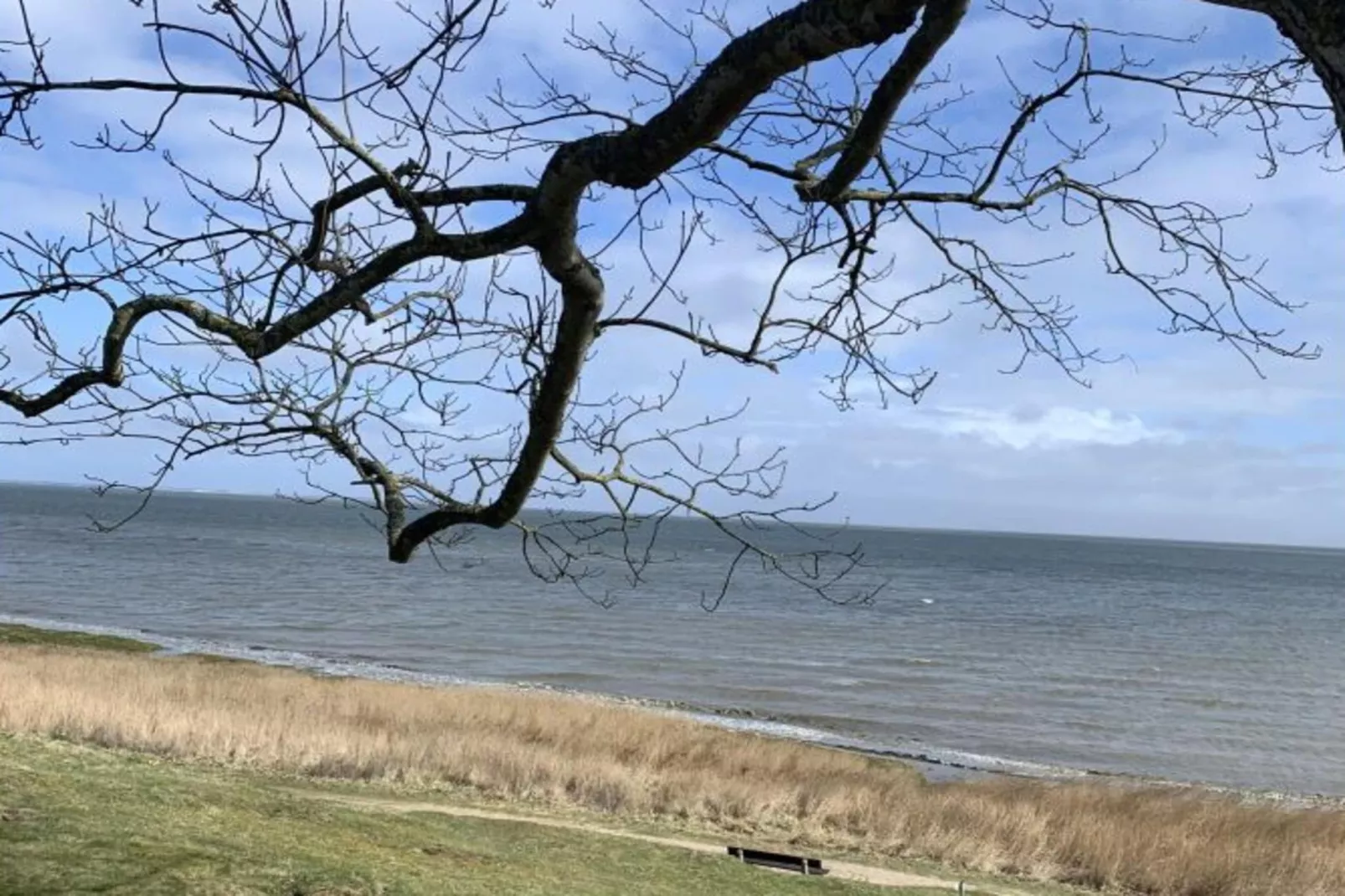 139423-Gebieden zomer 5km