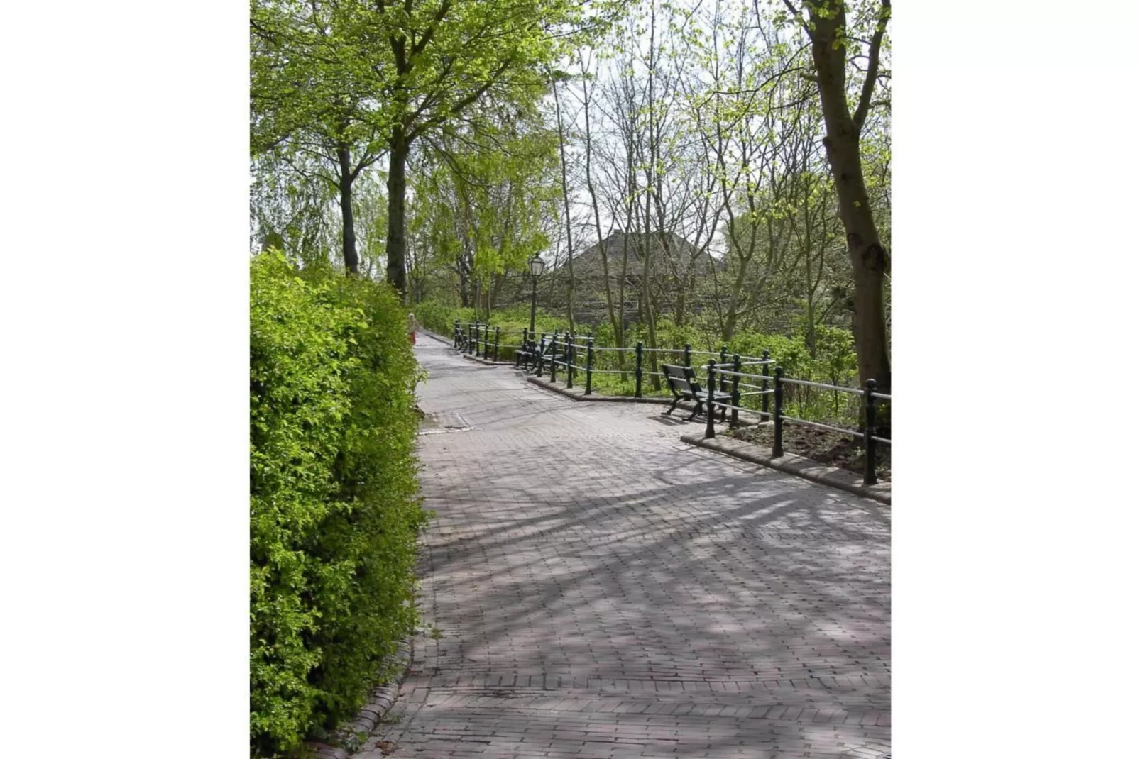 47462-Gebieden zomer 5km