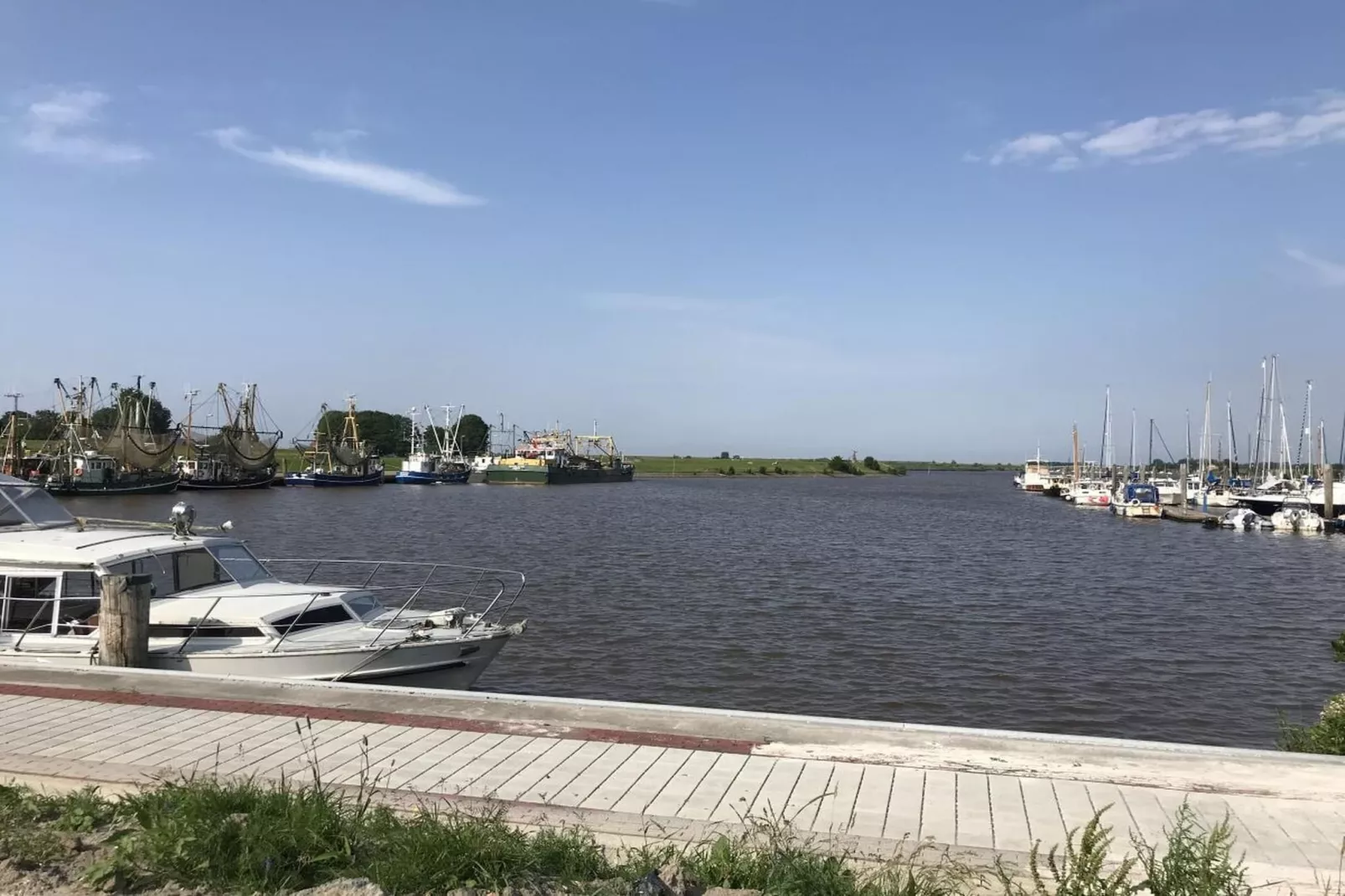 131094-Gebieden zomer 5km