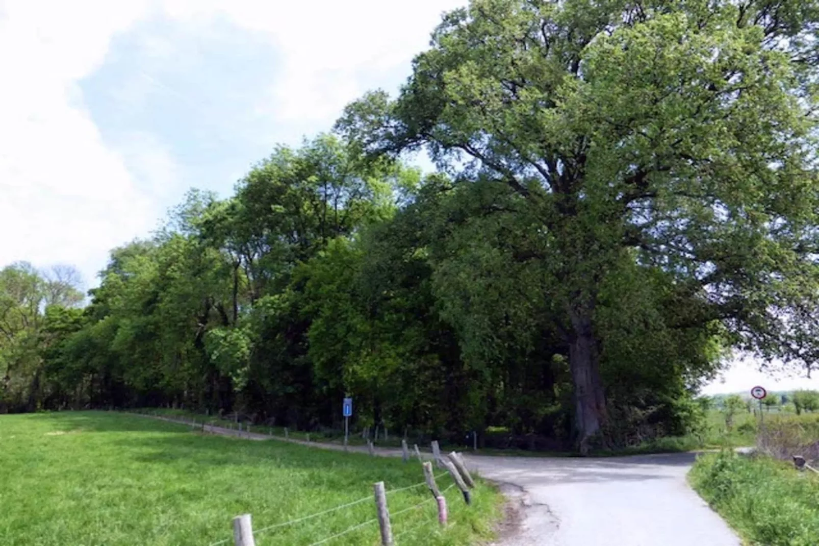 Schaelsbergerbosch - Fireplace & Sauna-Gebieden zomer 20km