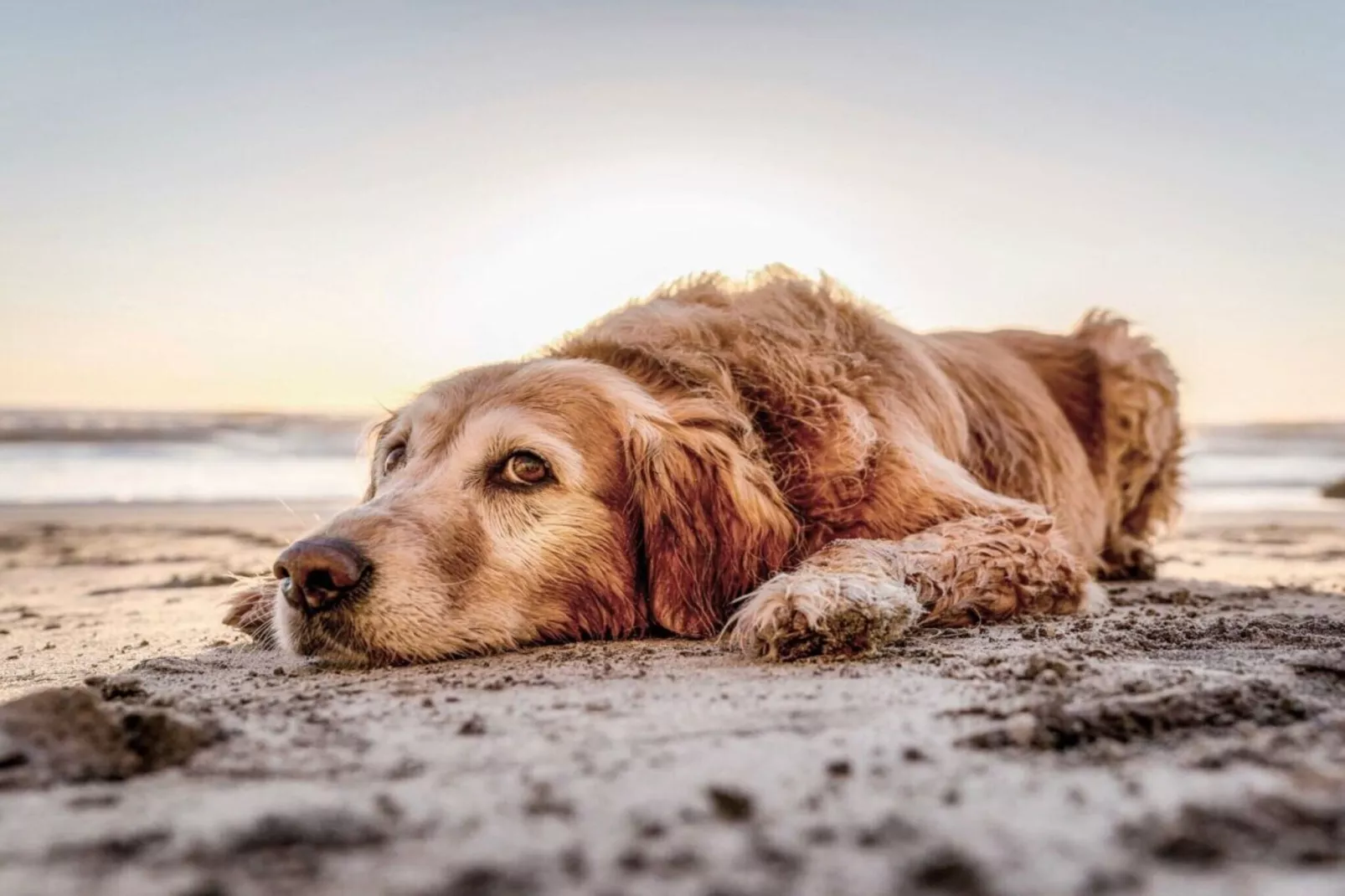 391987-Image-tags.water view