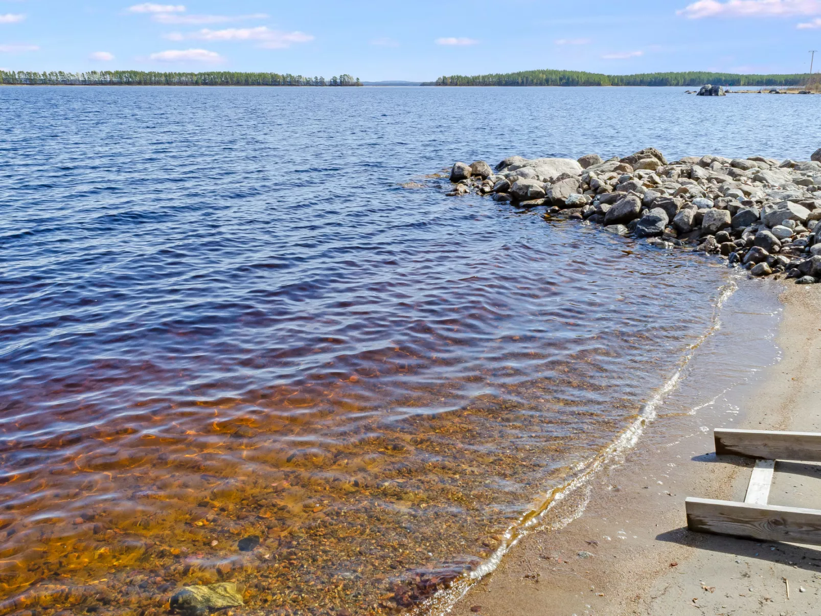 Villa vulpe - Binnen