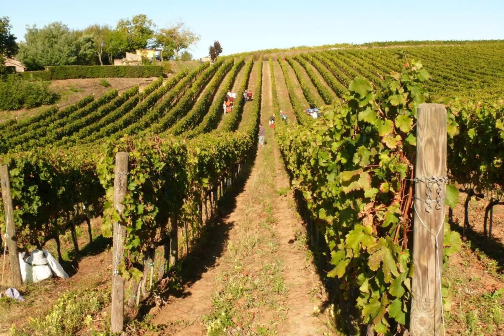 Villa Vinarte-Tuin winter