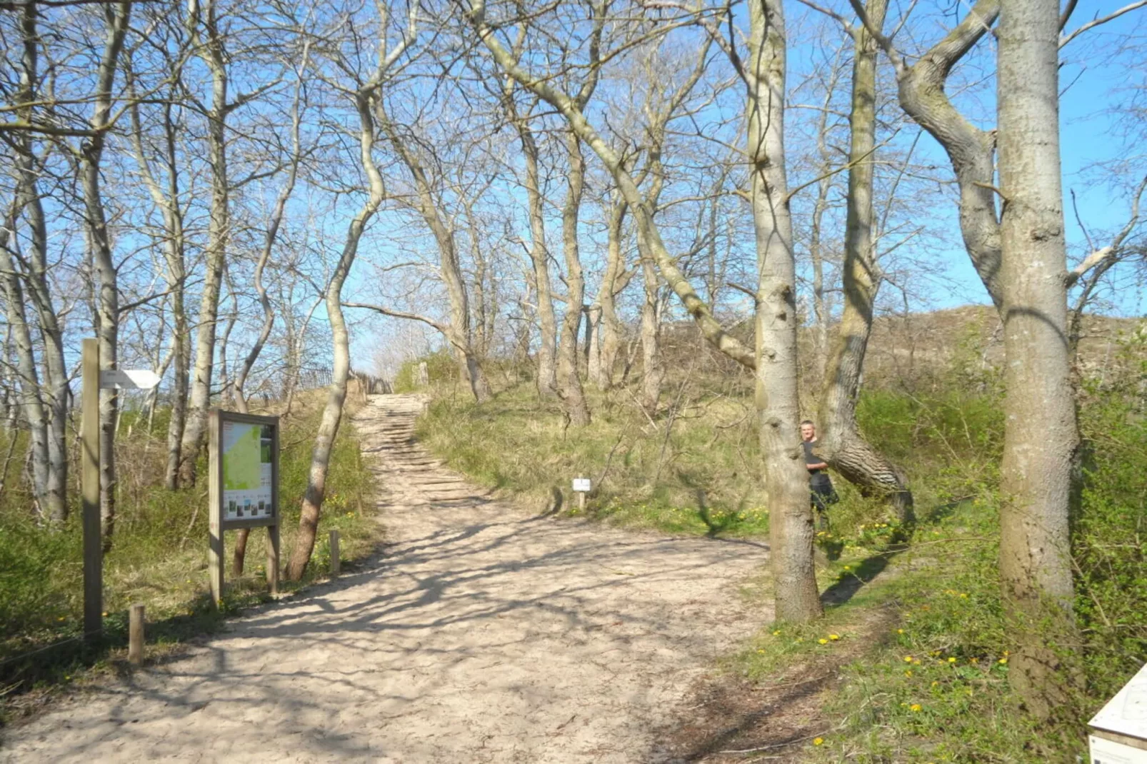 186075 - Gebieden zomer 5km