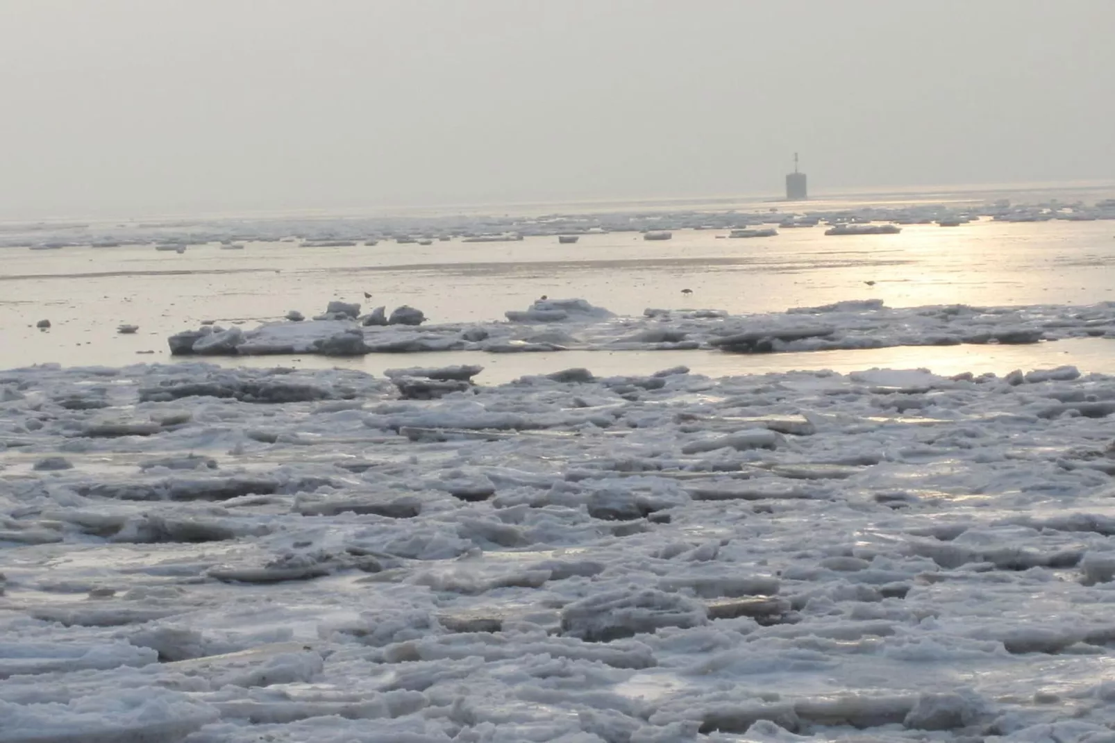 90280 - Gebieden zomer 5km