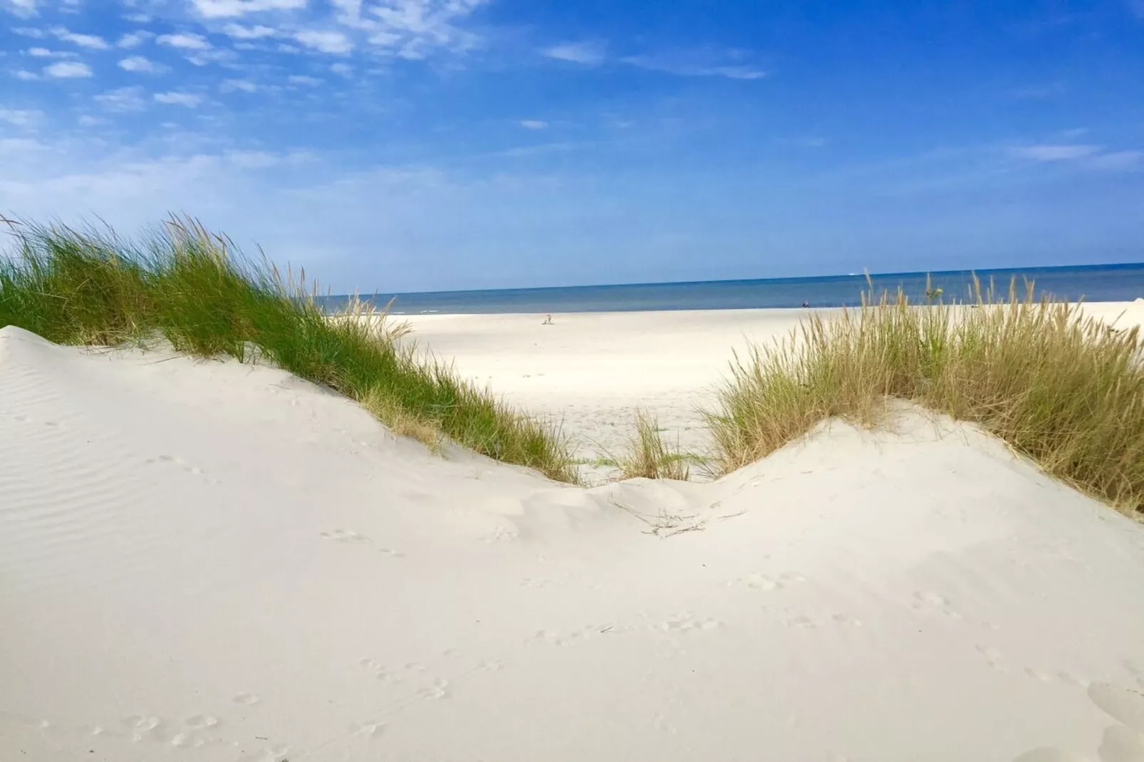 287713-Gebieden zomer 5km