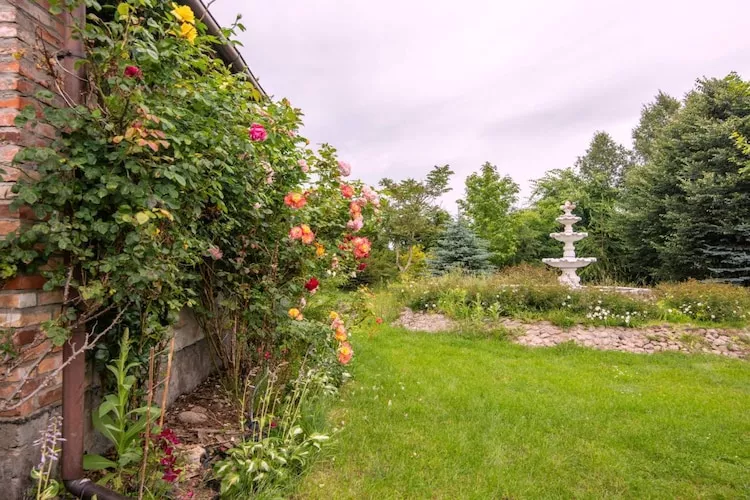 Angelino-Tuinen zomer